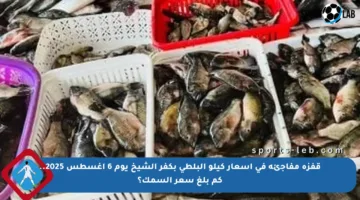 قفزة مفاجئة في أسعار كيلو البلطي بكفر الشيخ يوم 6 أغسطس 2025.. كم بلغ سعر السمك؟